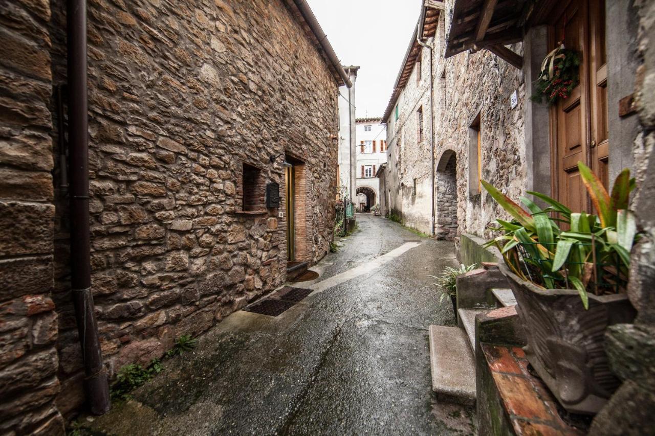Accogliente Appartamento Sulle Colline Toscane Capannori Ngoại thất bức ảnh